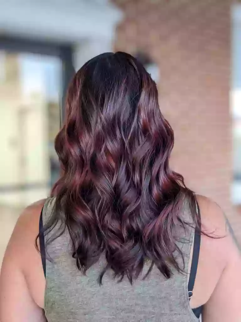 Salon Aspire Salon Aspire