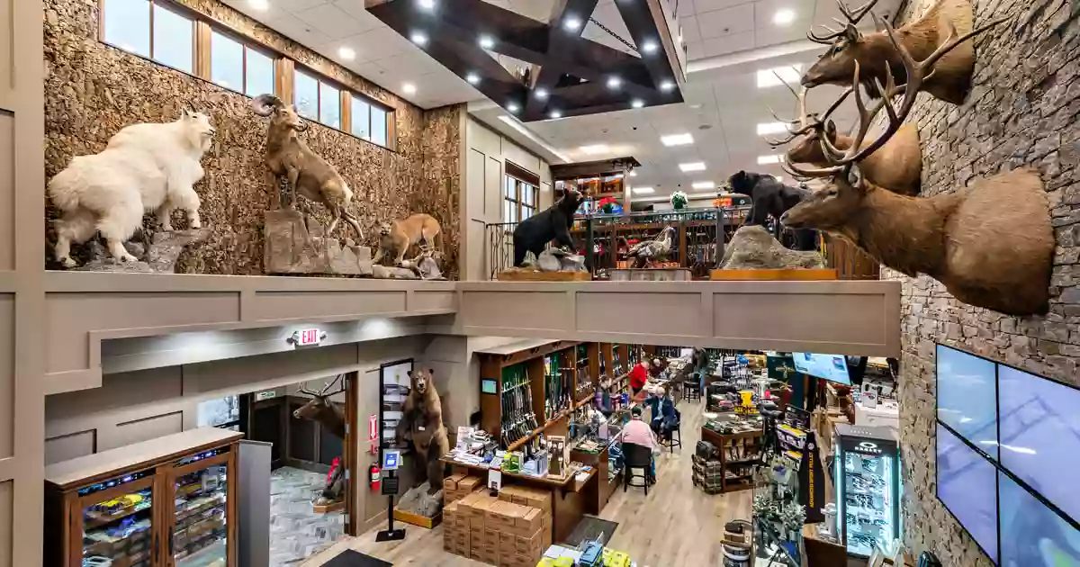 The Sporting Shoppe The Sporting Shoppe