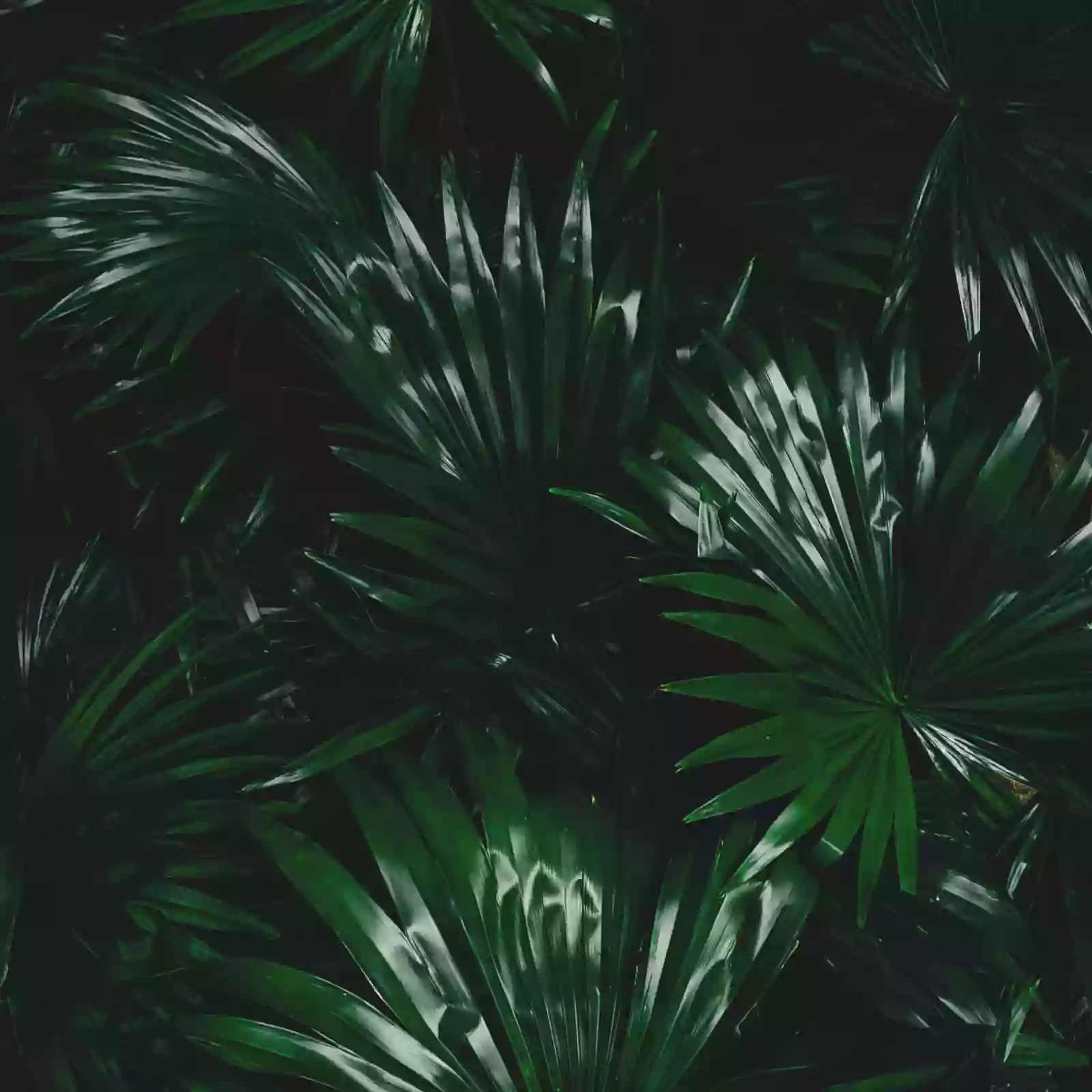 NailedXJada NailedXJada