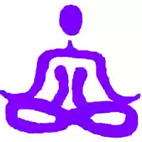 Vibrational Resonance Vibrational Resonance