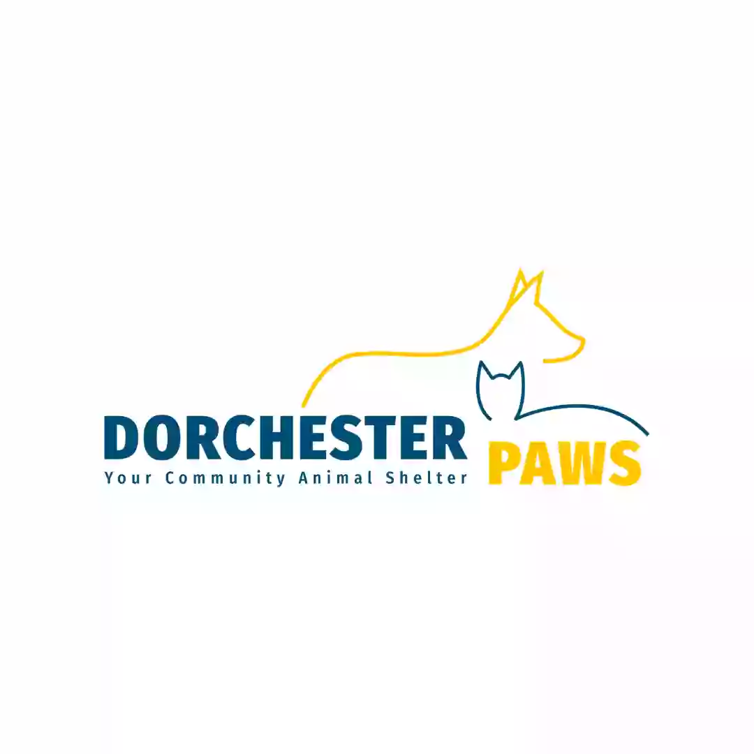 Dorchester Paws Dorchester Paws