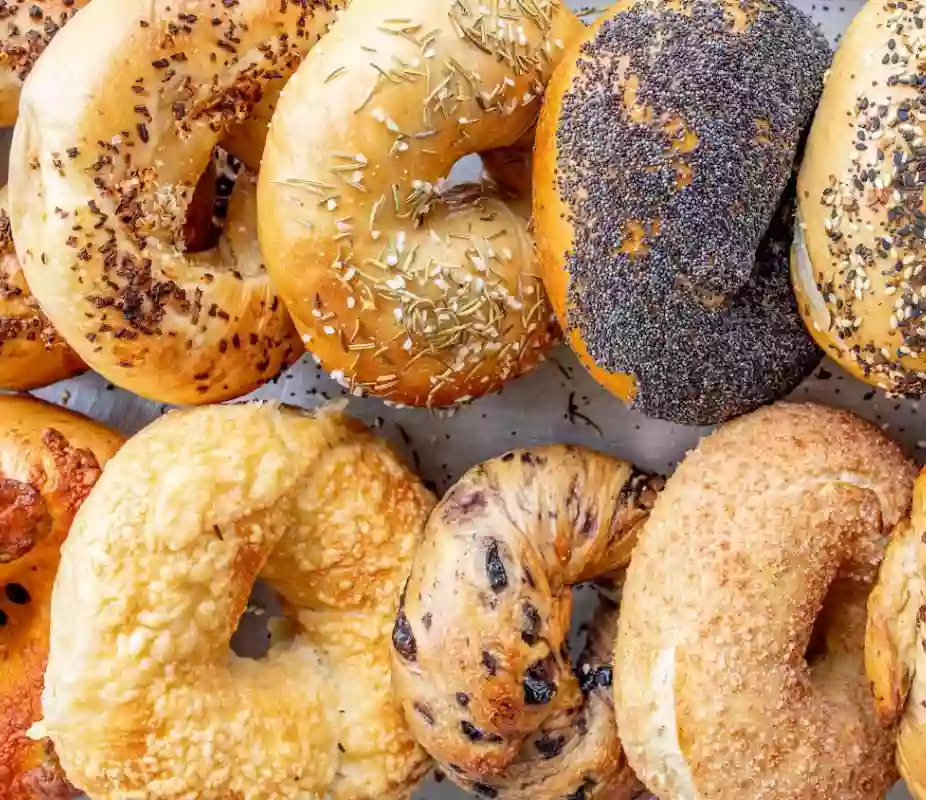 Holey City Bagels Holey City Bagels