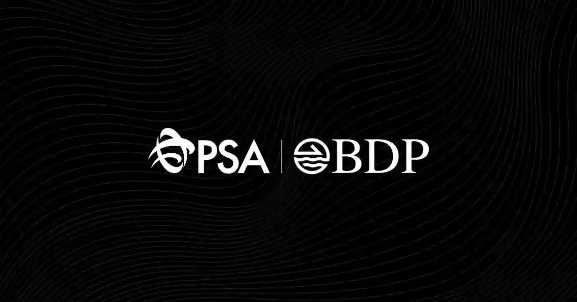 BDP International BDP International