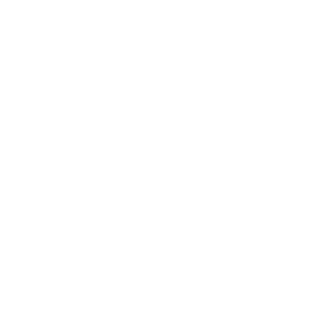 Stoneview Homes