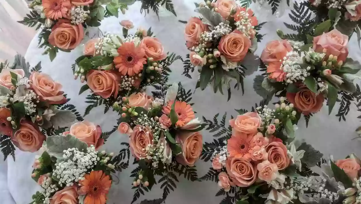 D Garden D Garden