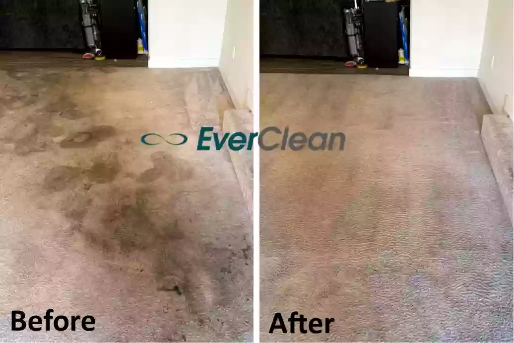 EverClean Nashville EverClean Nashville