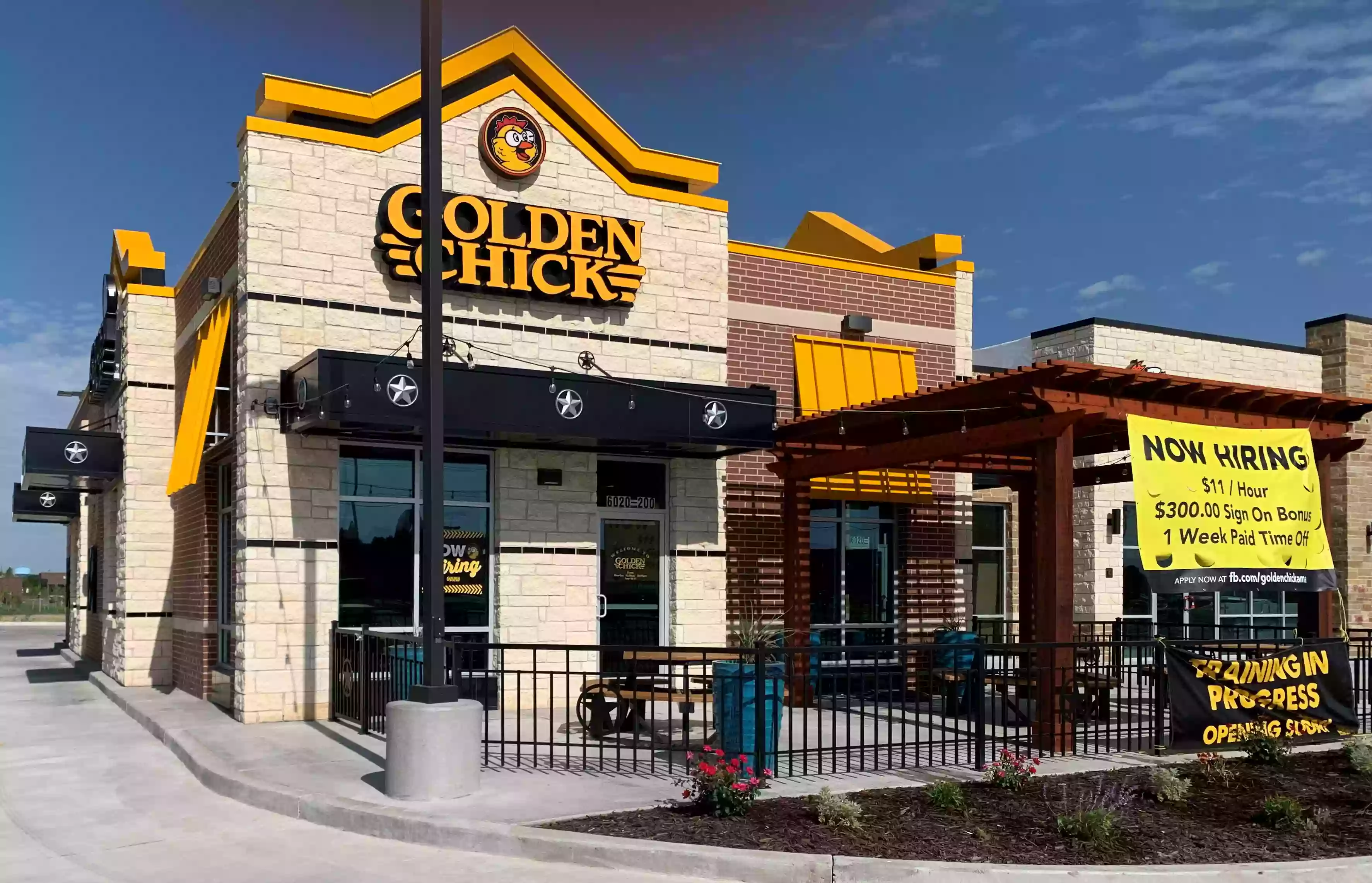 Golden Chick Golden Chick