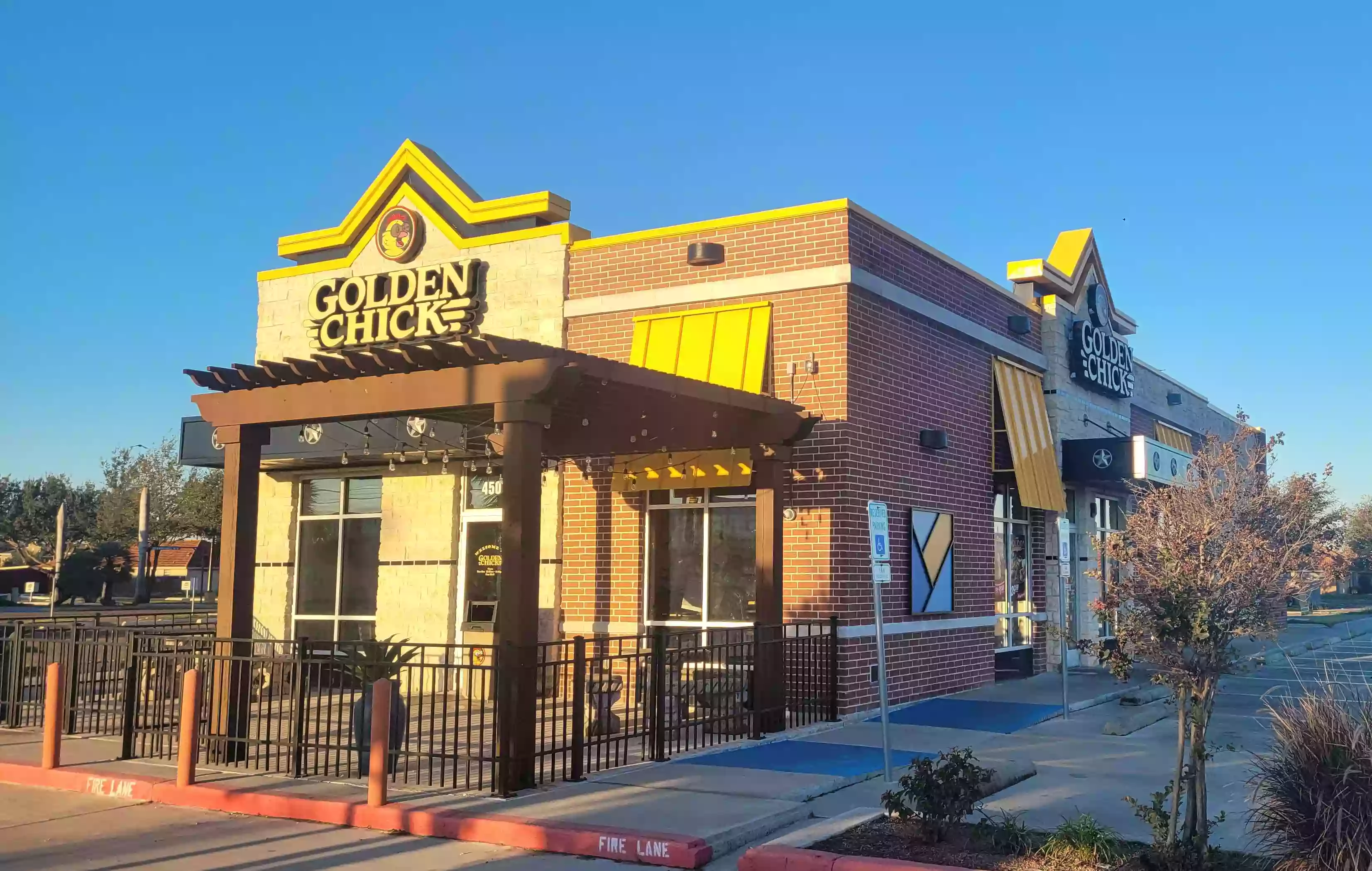 Golden Chick Golden Chick