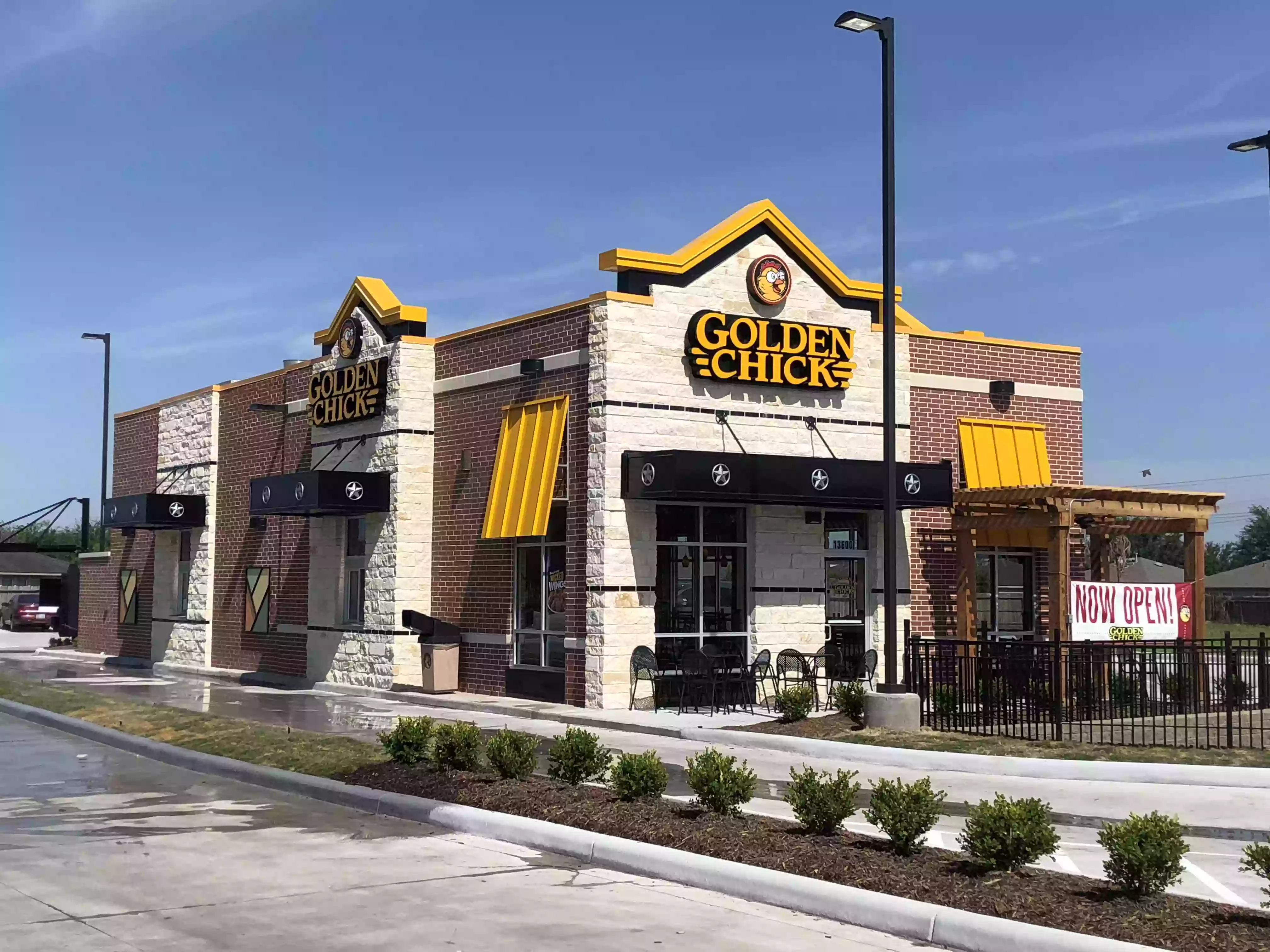 Golden Chick Golden Chick