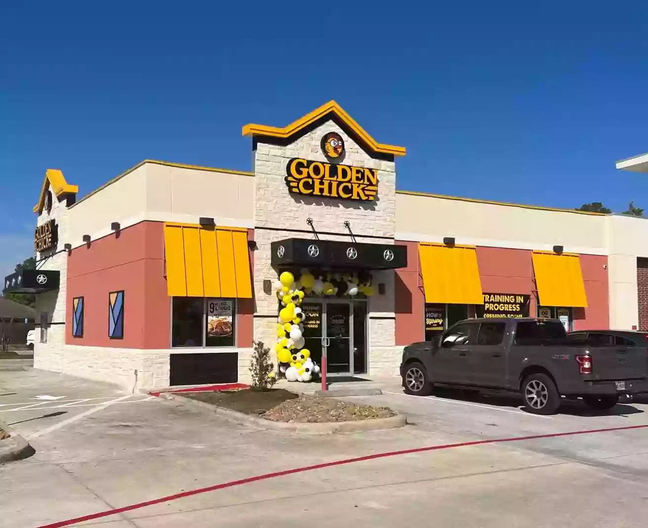 Golden Chick Golden Chick