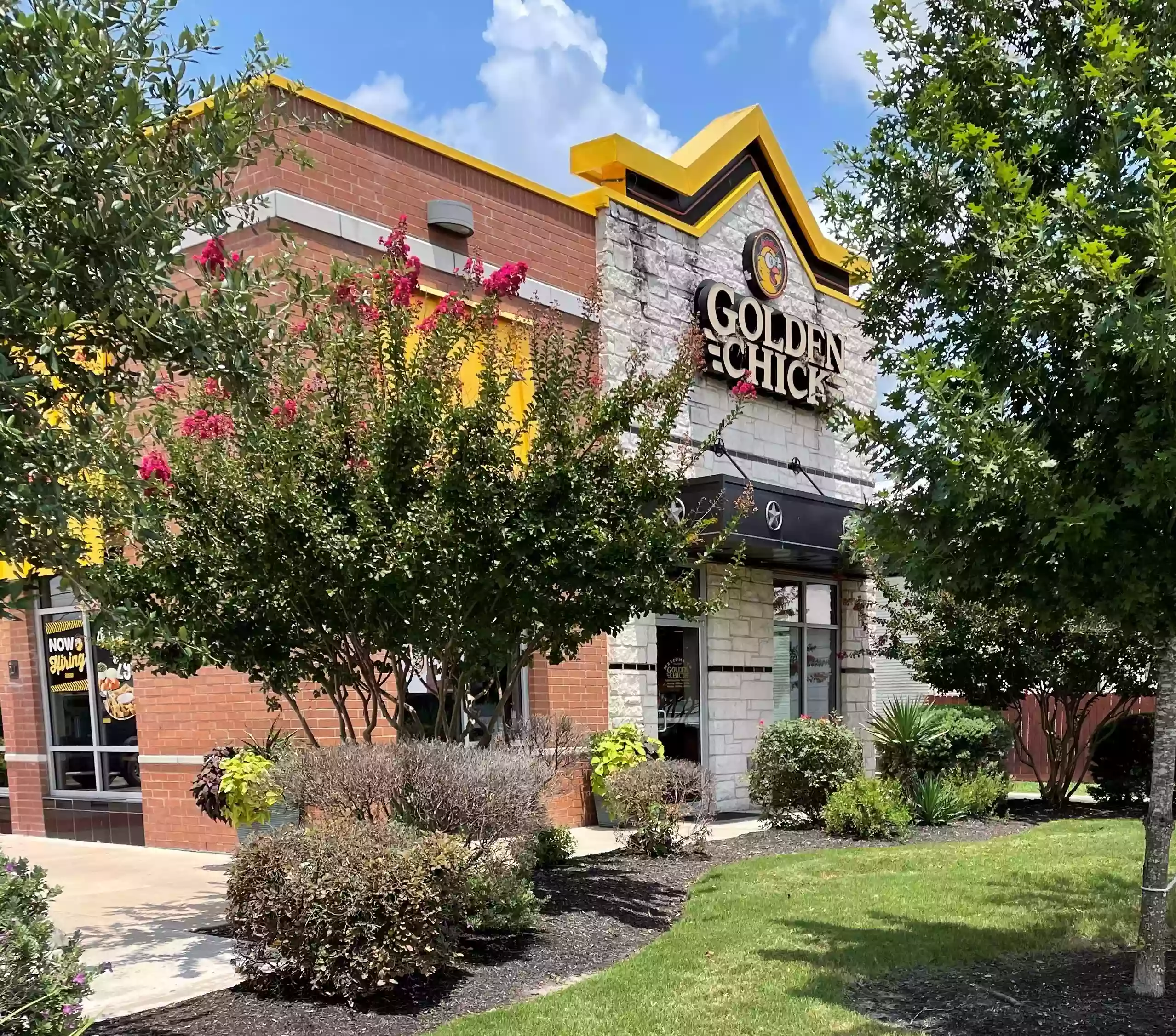 Golden Chick Golden Chick