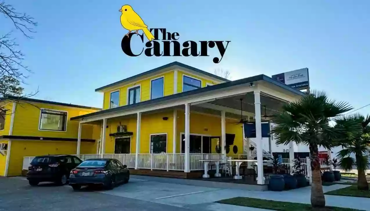 The Canary The Canary