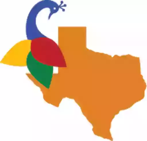 San Antonio Paints San Antonio Paints