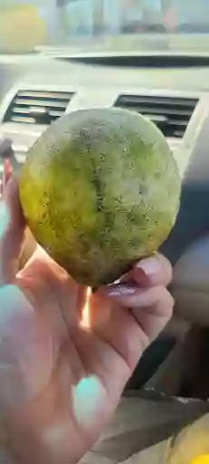 Pop-A-Top Pop-A-Top