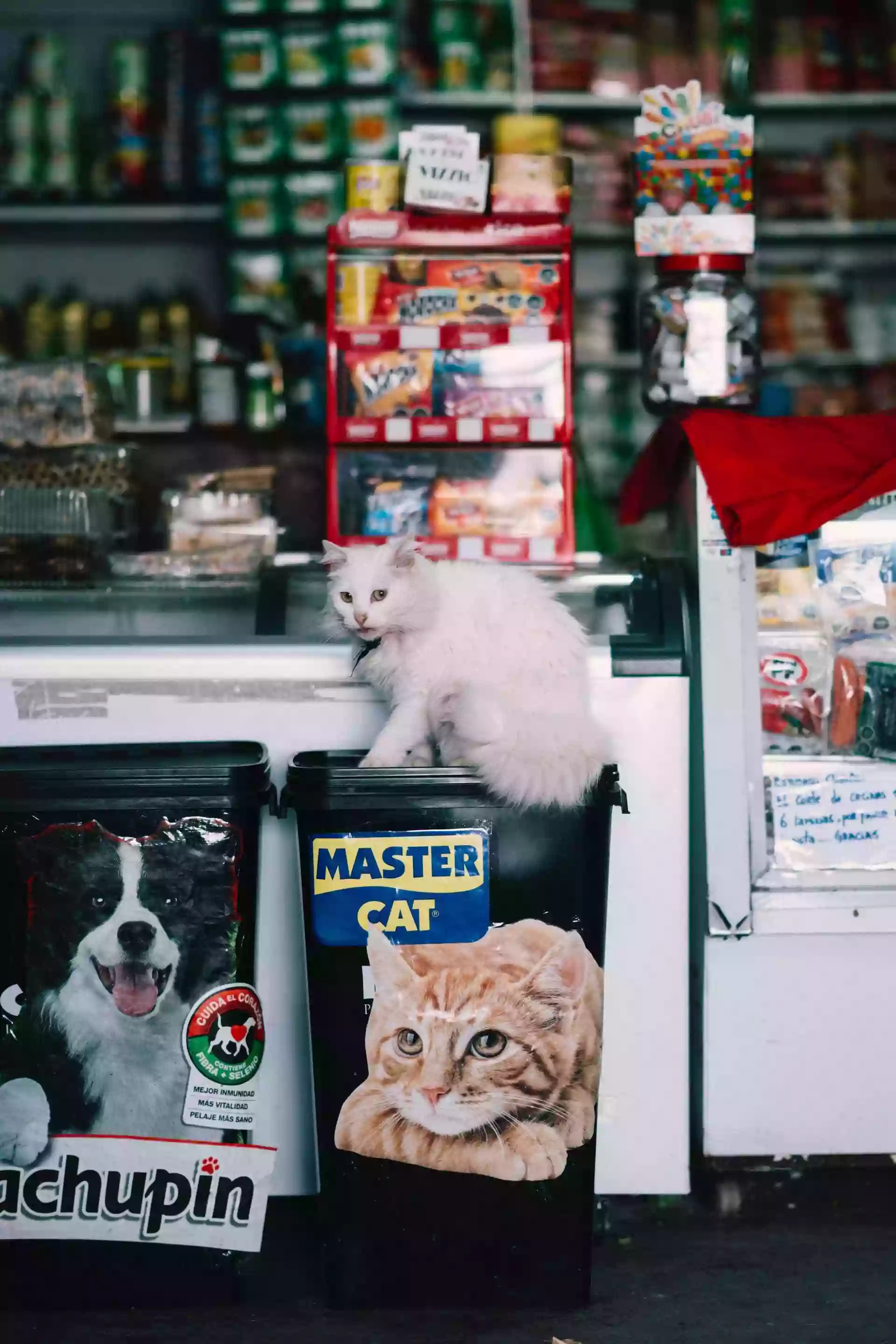 Coronado Pet Shoppe Coronado Pet Shoppe