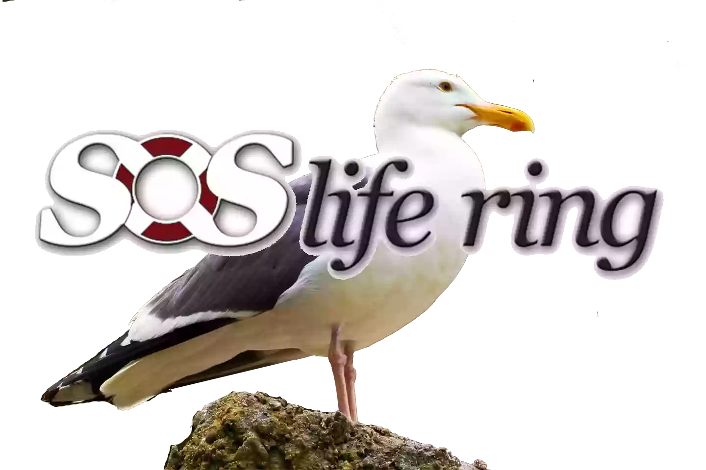 SOS Life Ring SOS Life Ring