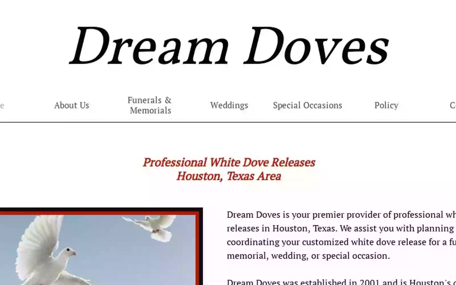 Houston Dream Doves Houston Dream Doves