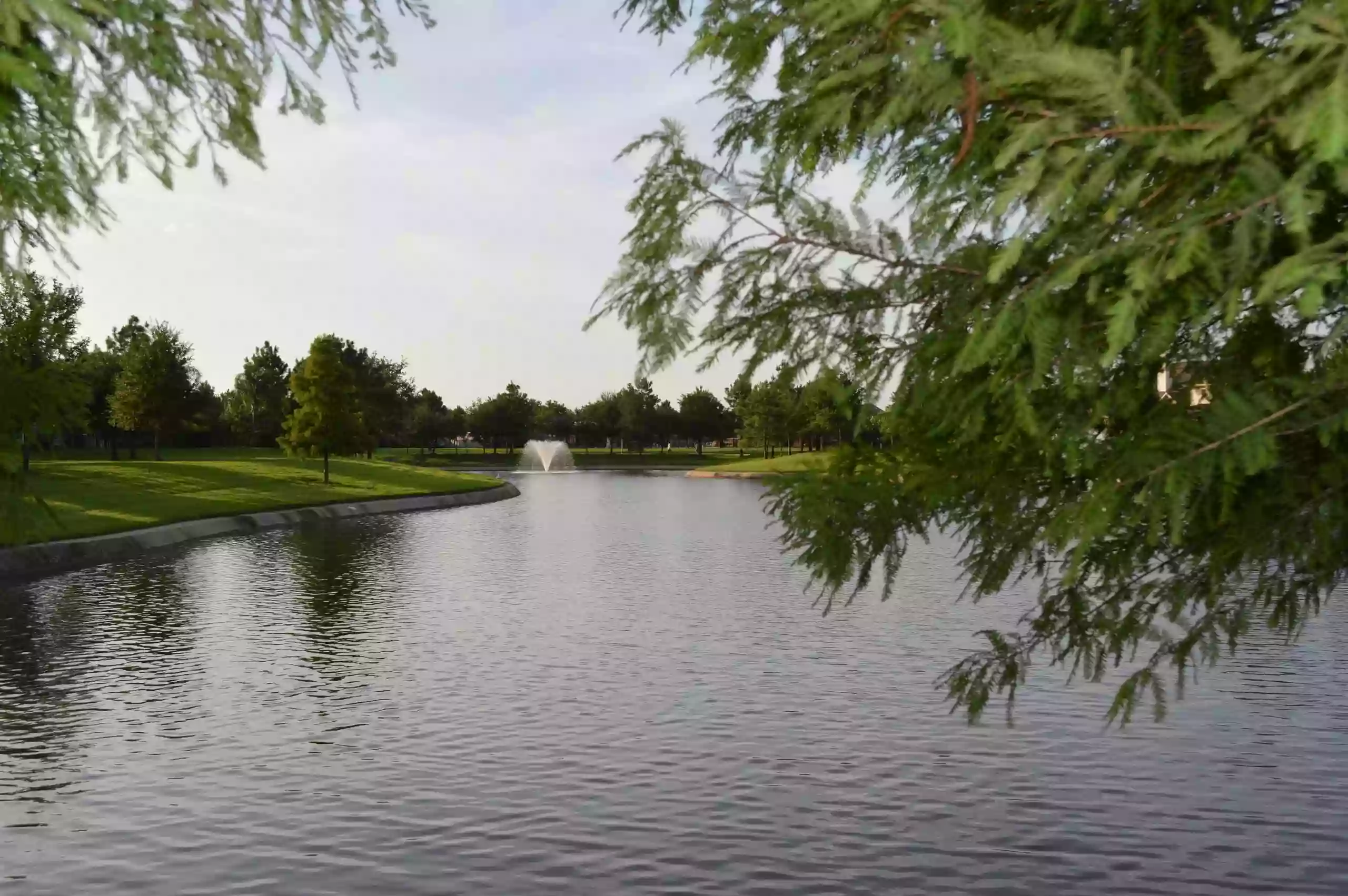 Lakes of pine forest pool Lakes of pine forest pool
