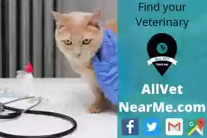 Dekalb Animal Hospital Dekalb Animal Hospital