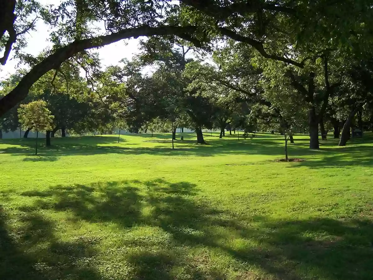 Cameron Park Cameron Park