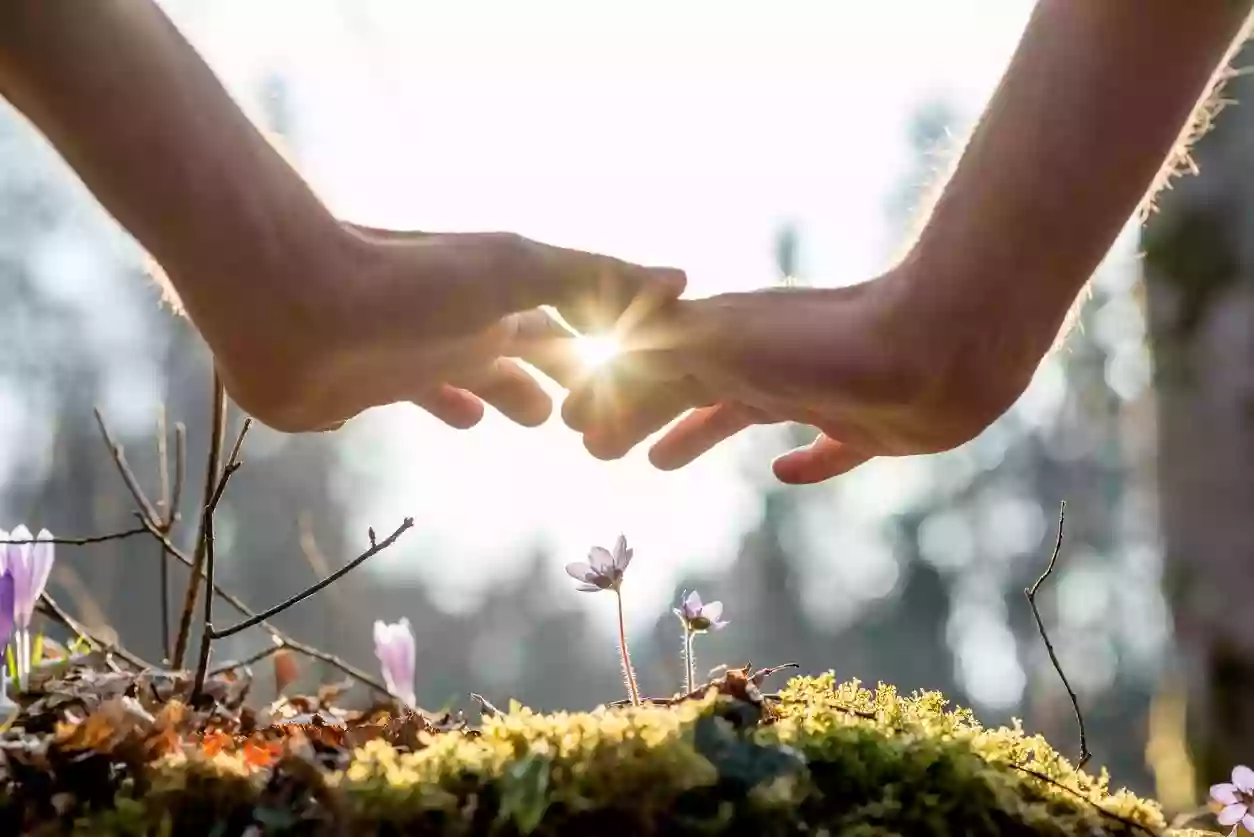 New Dawn Healing New Dawn Healing