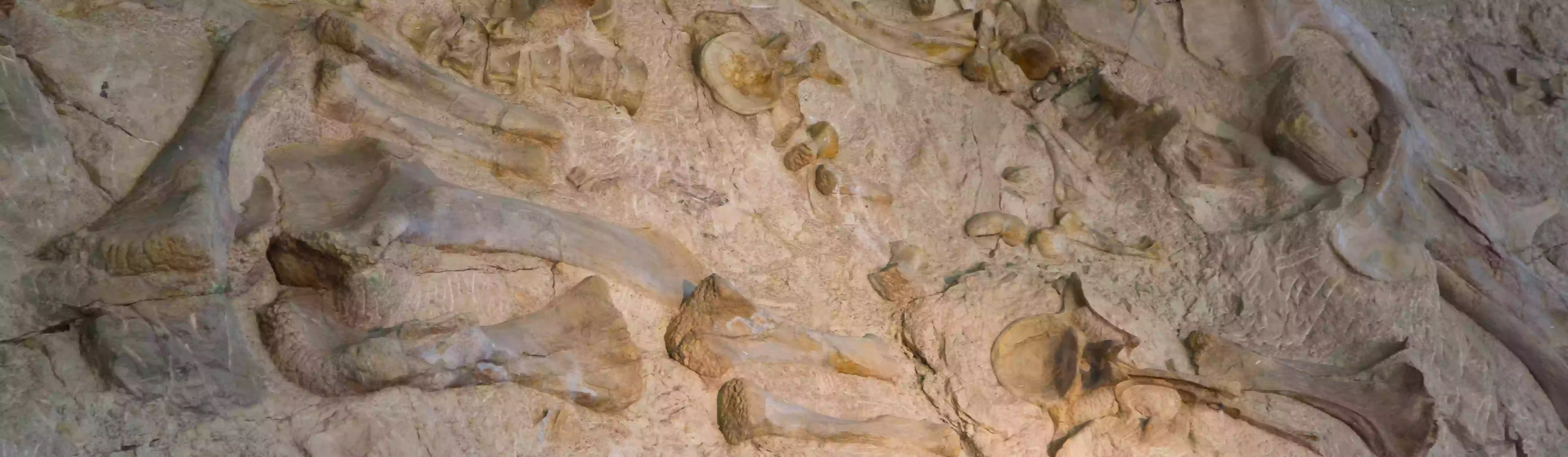 Dinosaur National Monument Dinosaur National Monument