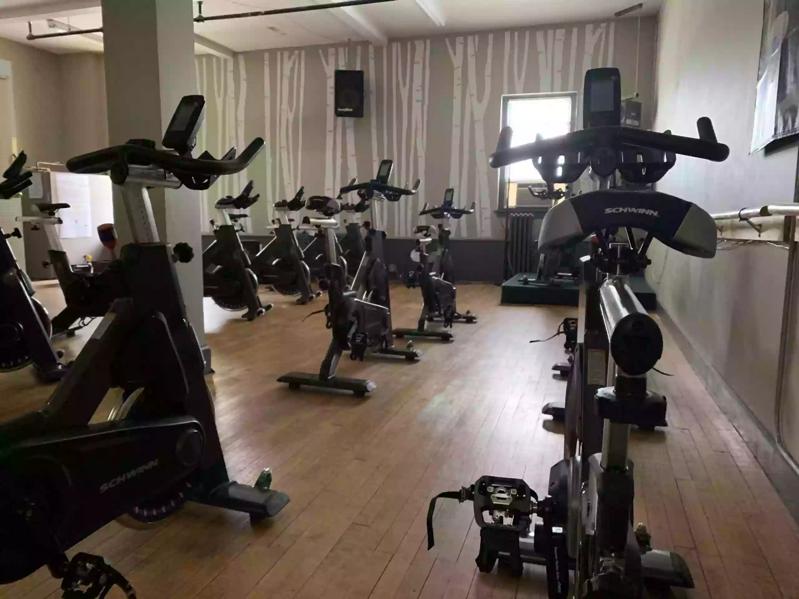 The Gymnasium The Gymnasium
