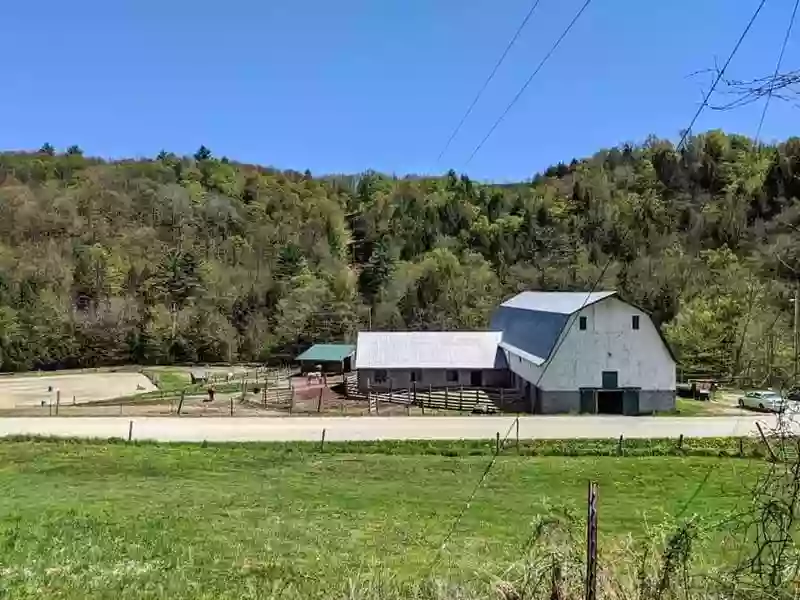 New Moon Ranch New Moon Ranch