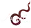Asia Nine Asia Nine