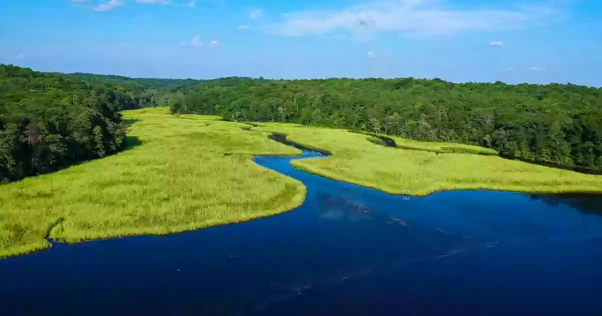 Rappahannock River Valley National Wildlife Refuge - Port Royal Unit Rappahannock River Valley National Wildlife Refuge - Port Royal Unit