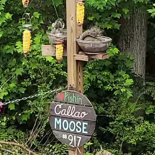Loyal Order of Moose Loyal Order of Moose