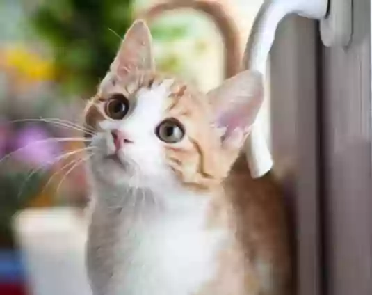 PetMAC PetMAC