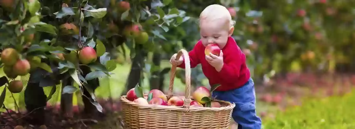 Farm School Farm School
