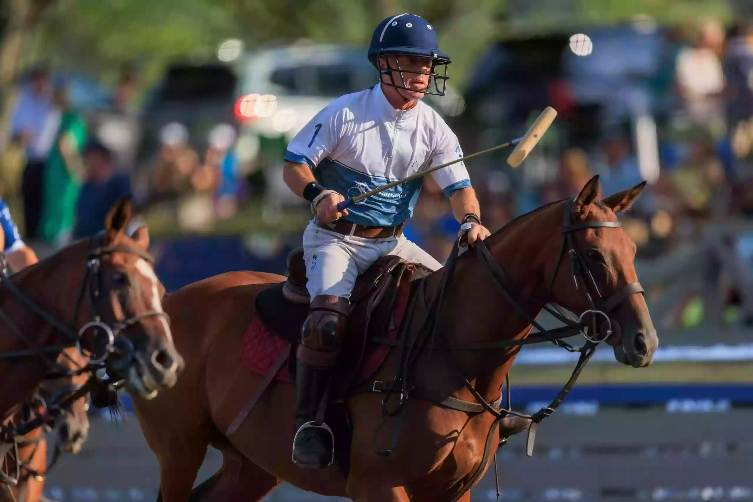 Twilight Polo