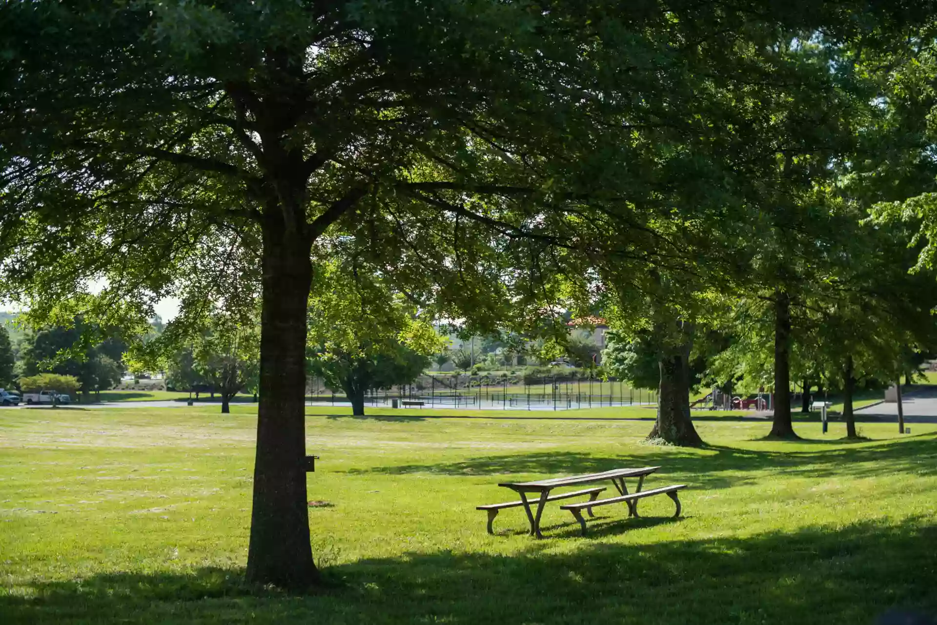 Fallon Park Fallon Park