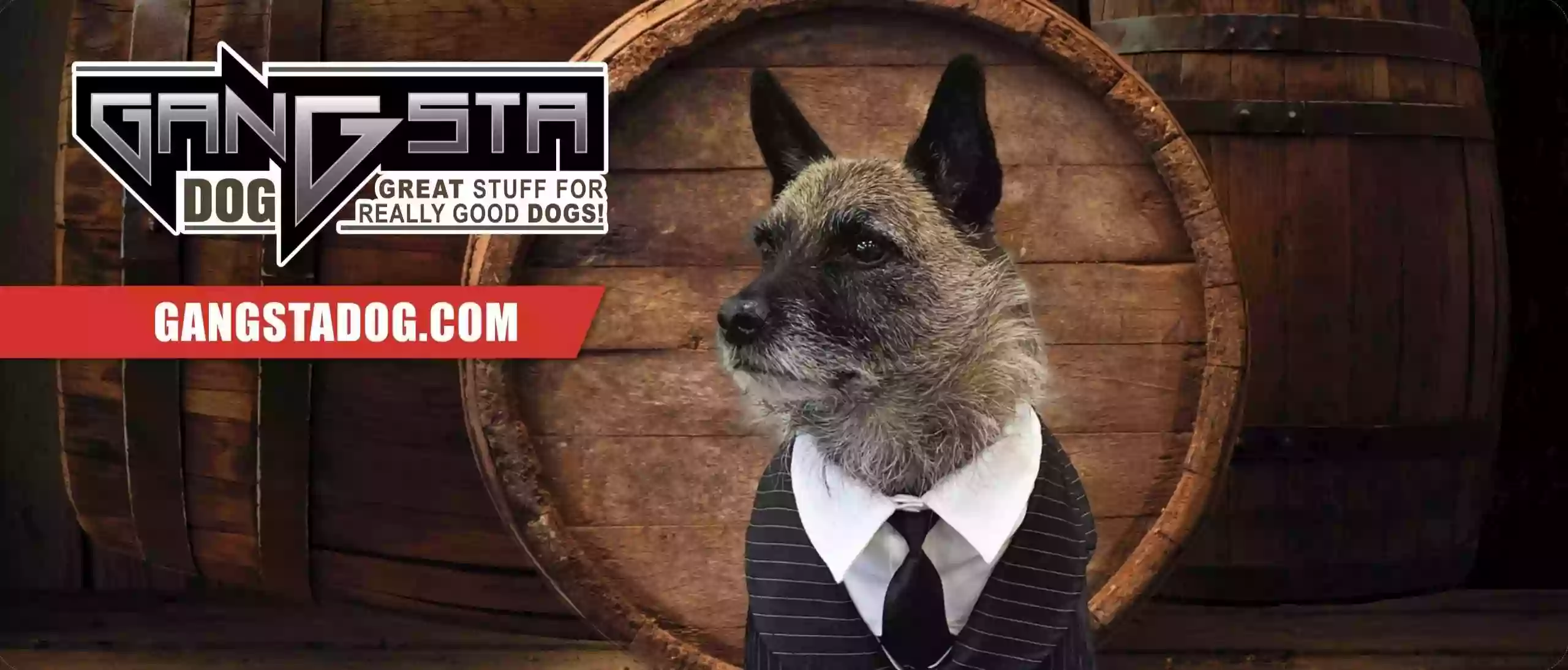 Gangsta Dog Norfolk Gangsta Dog Norfolk