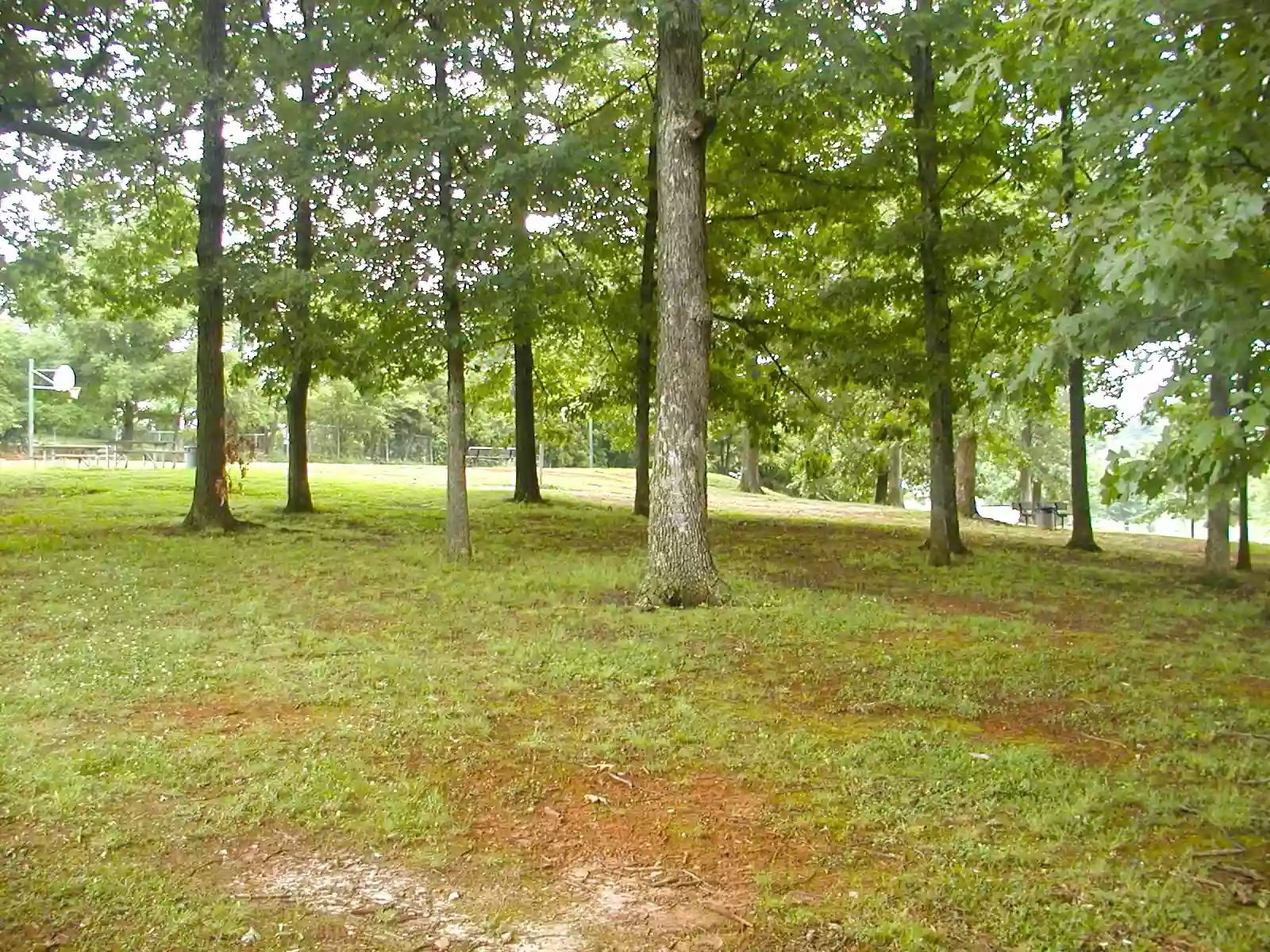 Younger Park Younger Park