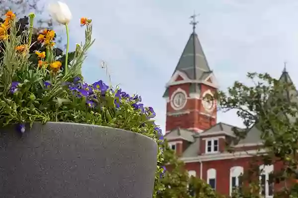 Auburn Auburn