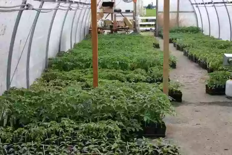 Millennium Farms Millennium Farms