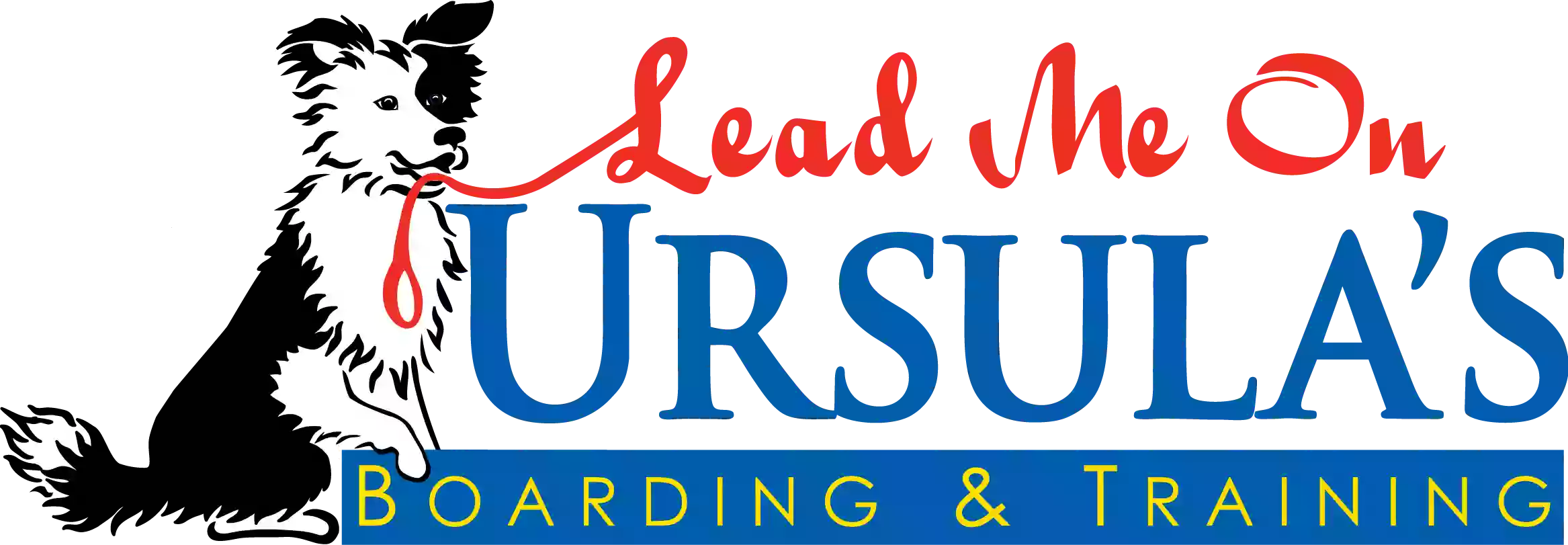 Lead Me On, Inc Lead Me On, Inc