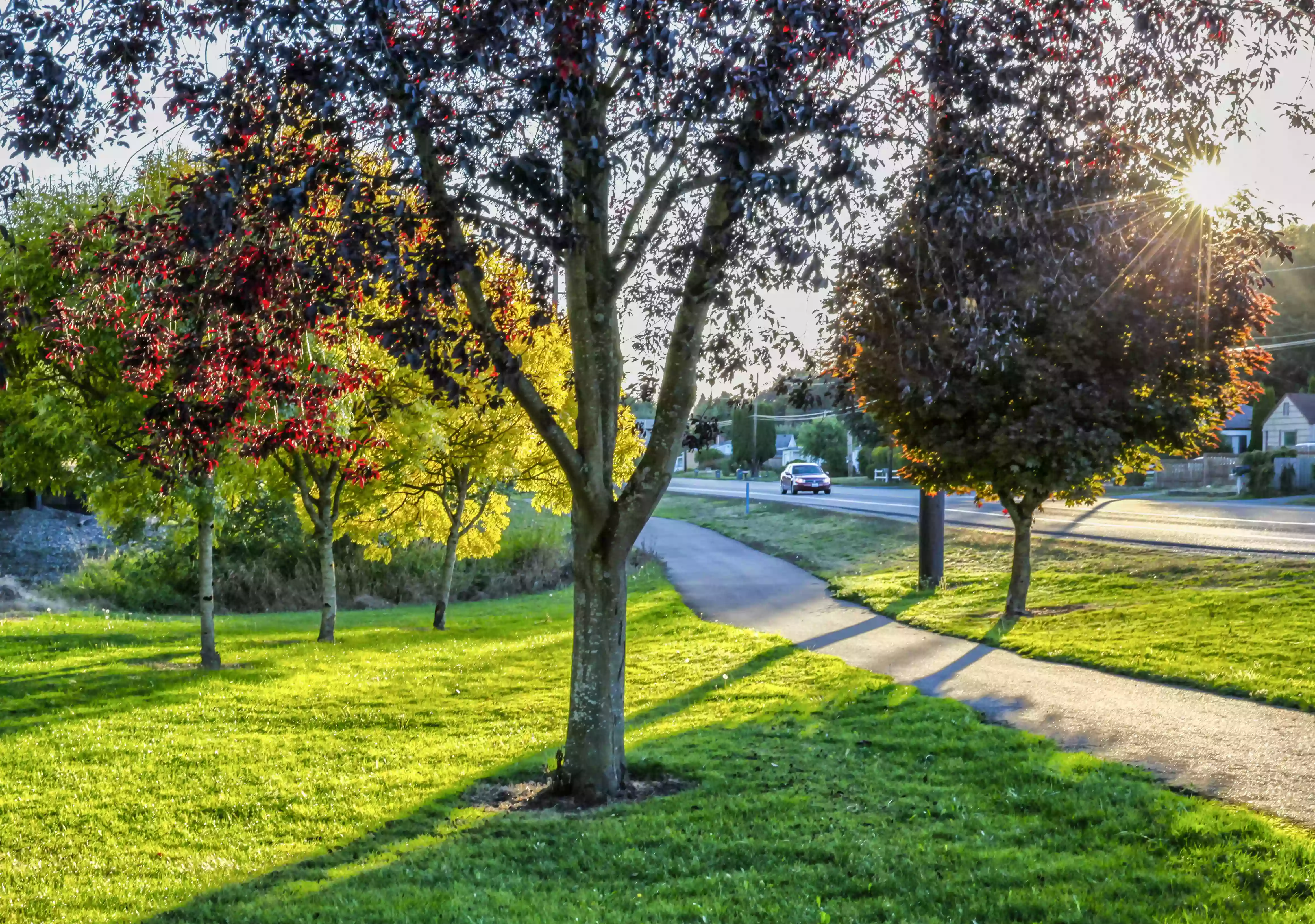 Lions Club Park Lions Club Park