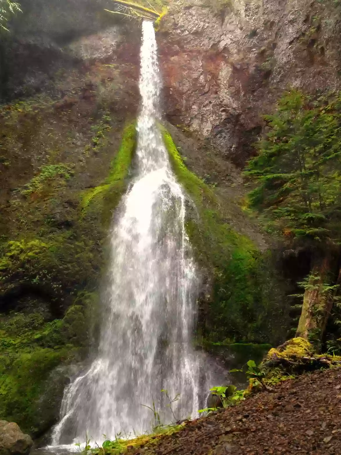 Marymere Falls Marymere Falls