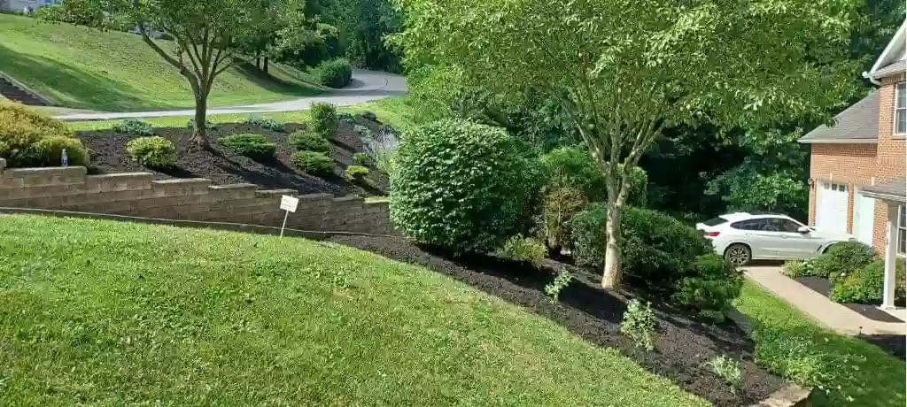 Lawn Rx Lawn Rx