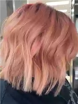 Hair We Are Hair We Are