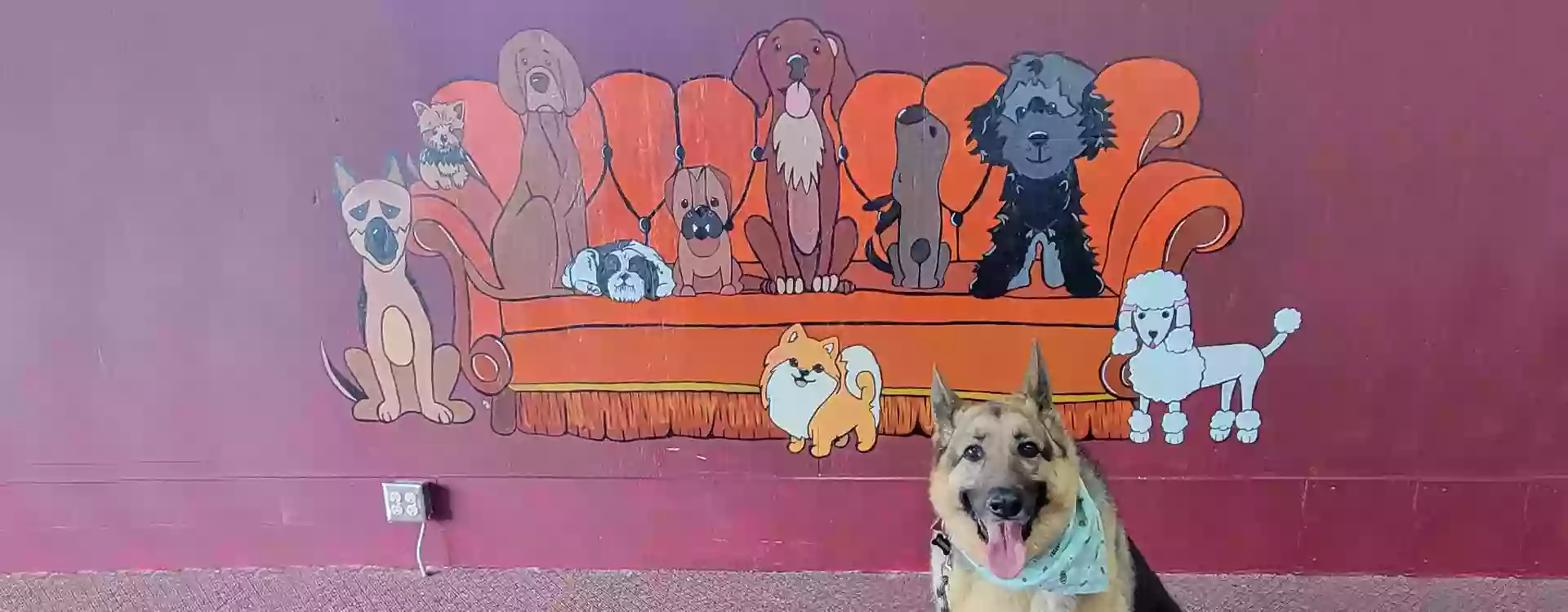 Central Pup, LLC Central Pup, LLC