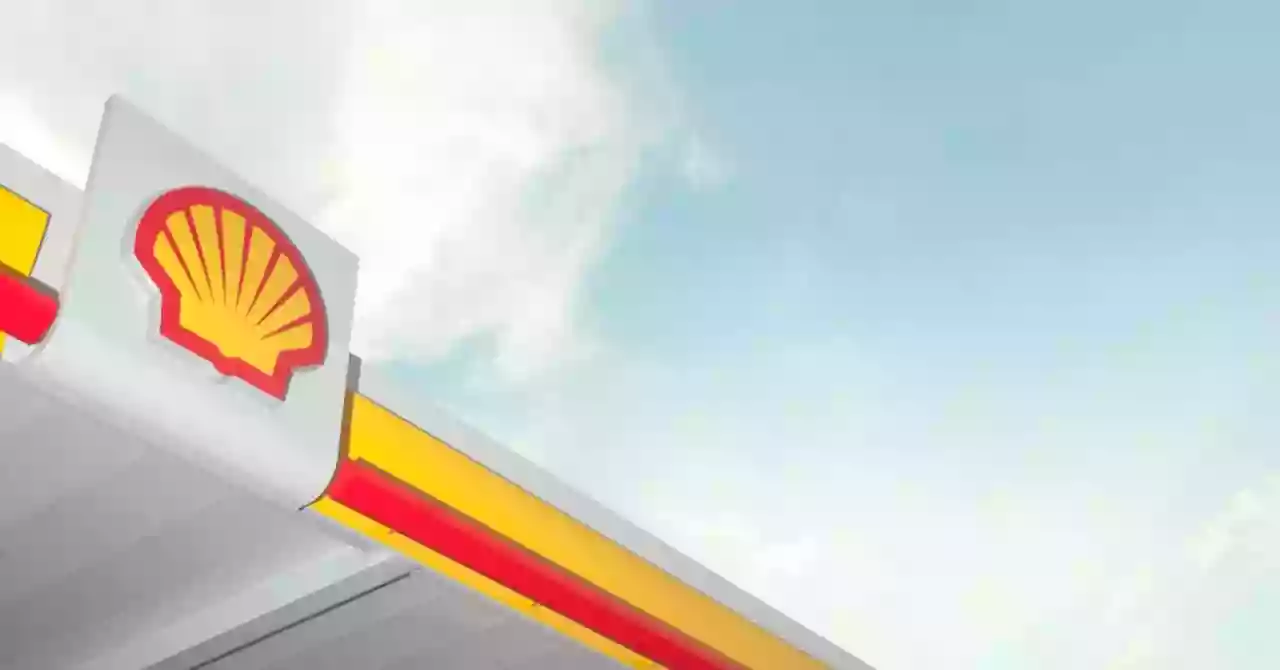 Bhirdo's Shell Bhirdo's Shell
