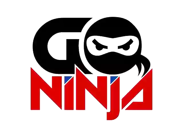 Go Ninja Go Ninja