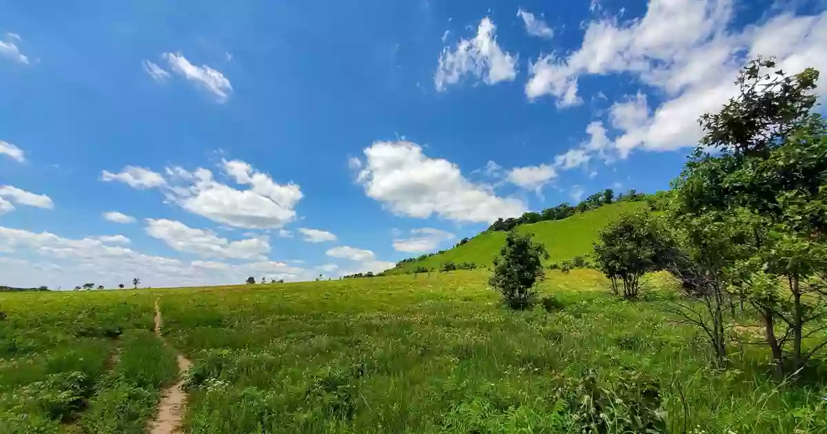 Spring Green Preserve Spring Green Preserve