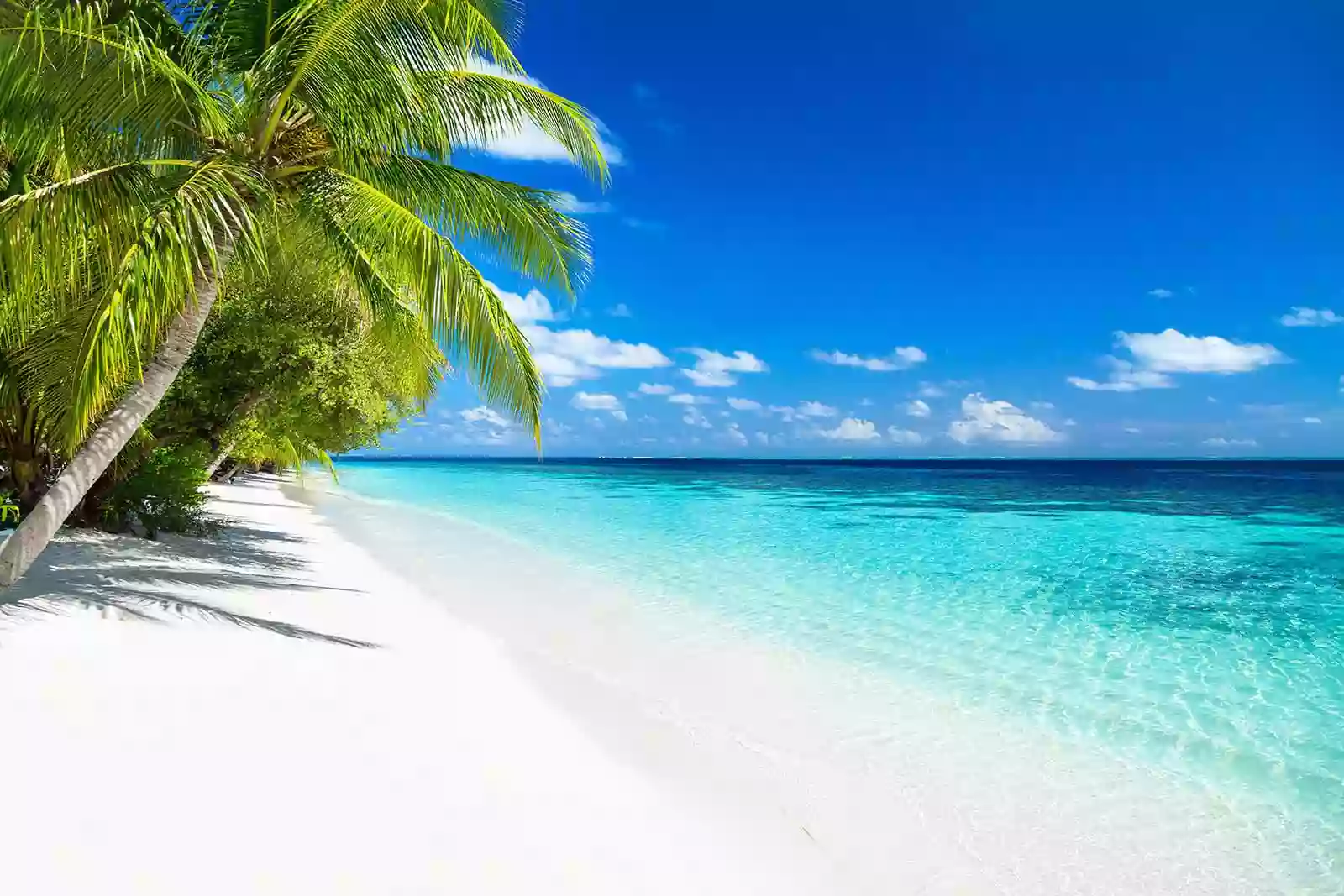 United Vacations United Vacations