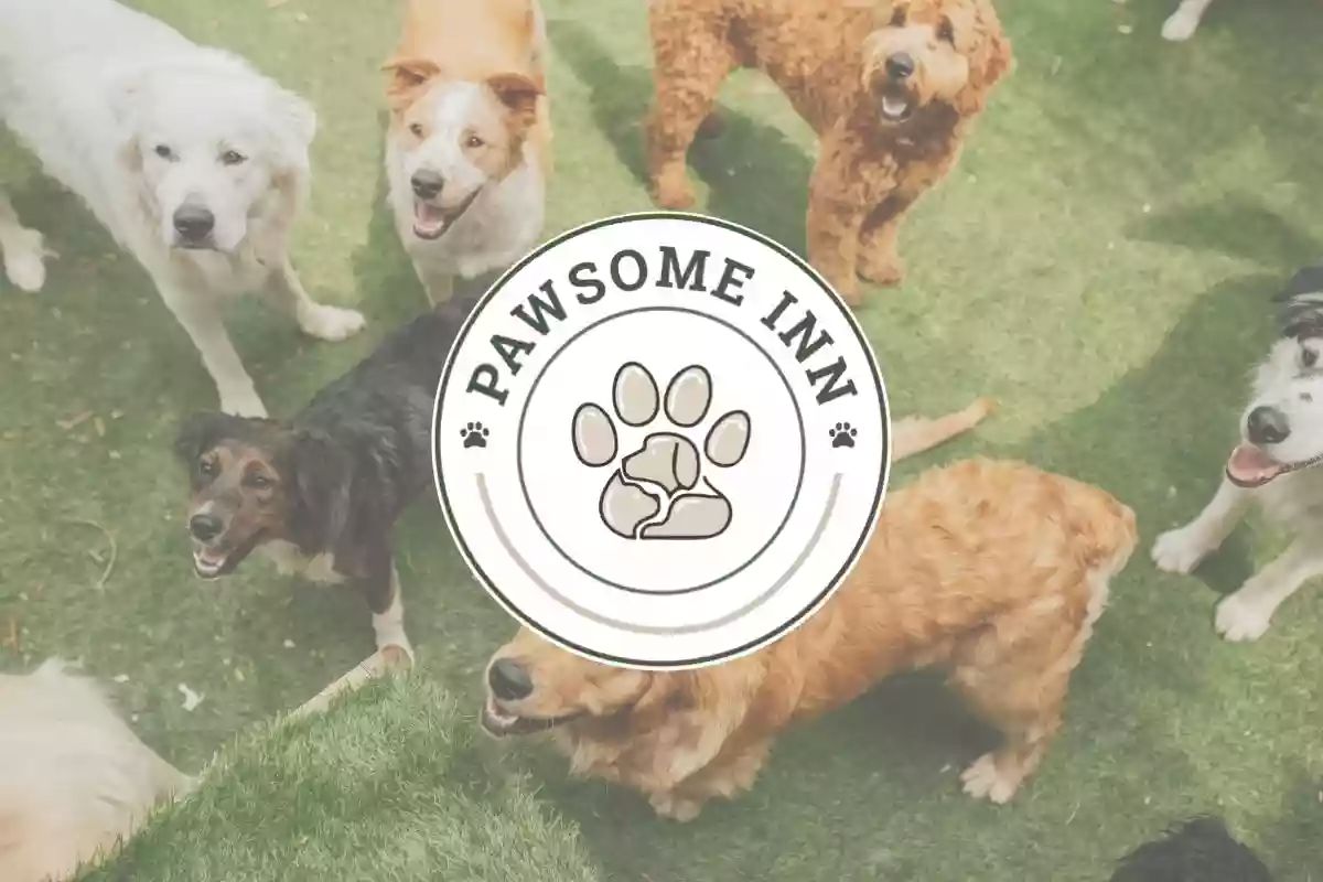 Pawsome Inn Pawsome Inn